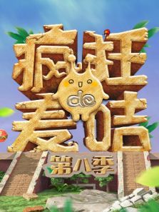 疯狂的麦咭 第8季